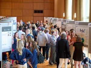 Judges needed for Undergraduate Exhibition on April 10-12